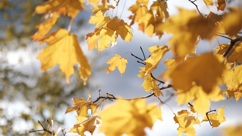 博盈体育app官网